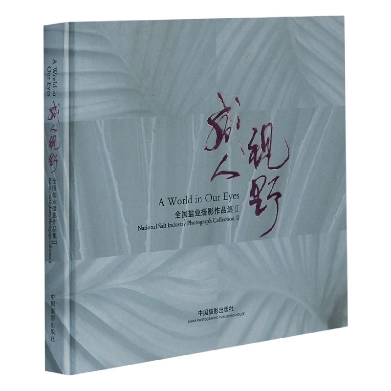 咸人视野(全国盐业摄影作品集Ⅱ)