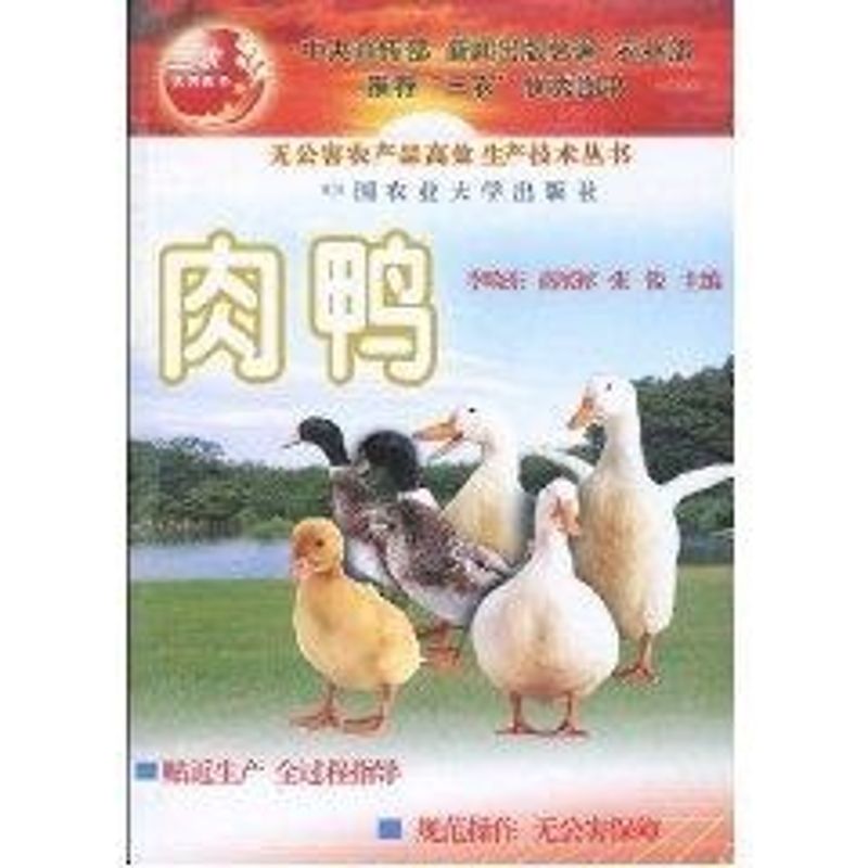肉鸭