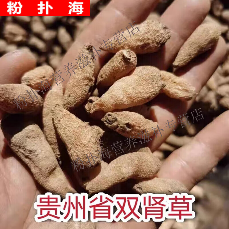 双肾参双肾草贵州双肾草中药材双肾参玉凤花干货鲜货全草颗双肾草 干
