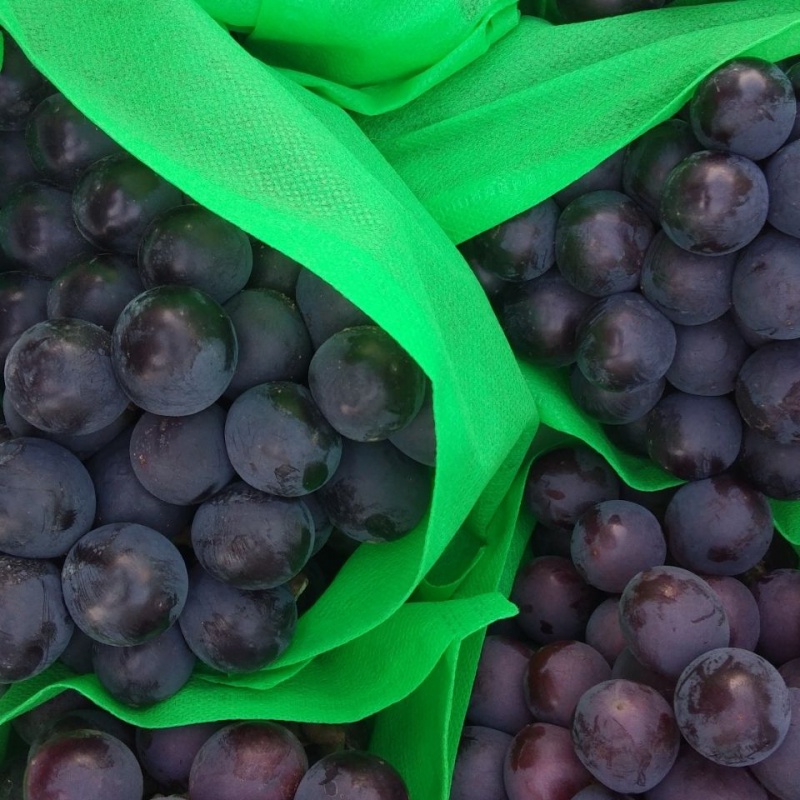 东北巨峰葡萄当季新鲜精品水果可剥皮酸甜爆汁 净重3斤