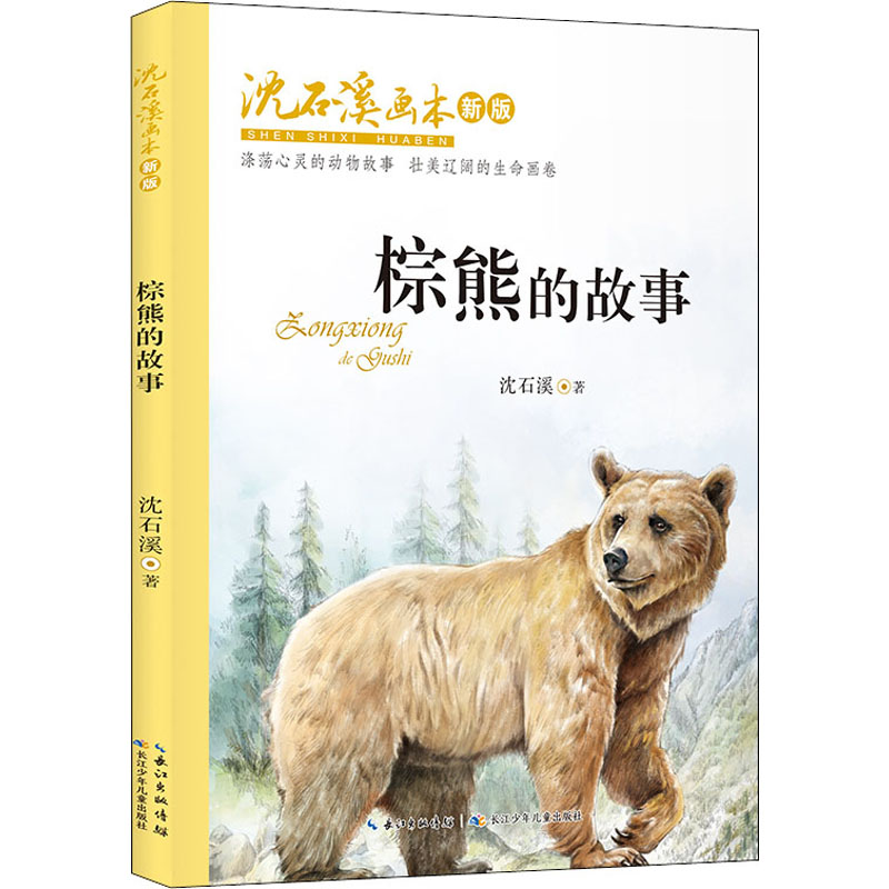 棕熊的故事 幼儿图书 绘本 早教书 儿童书籍