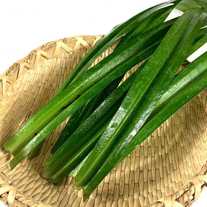 青樱红荔 顺丰斑斓叶新鲜香兰叶班兰叶斑斓蛋糕千层糕芒果糯米饭香料