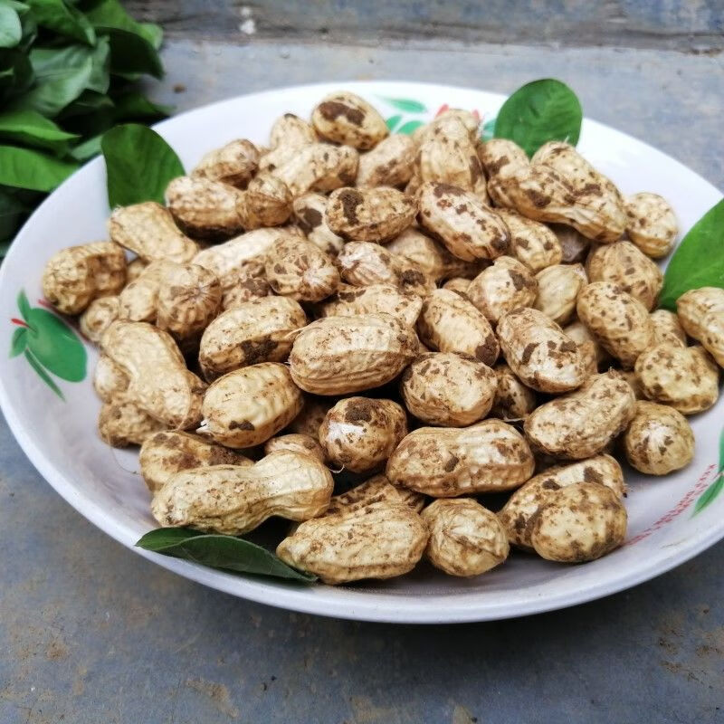 【精选果蔬】3斤/5斤装现挖新鲜花生21年湿花生水煮花生带泥花生带壳
