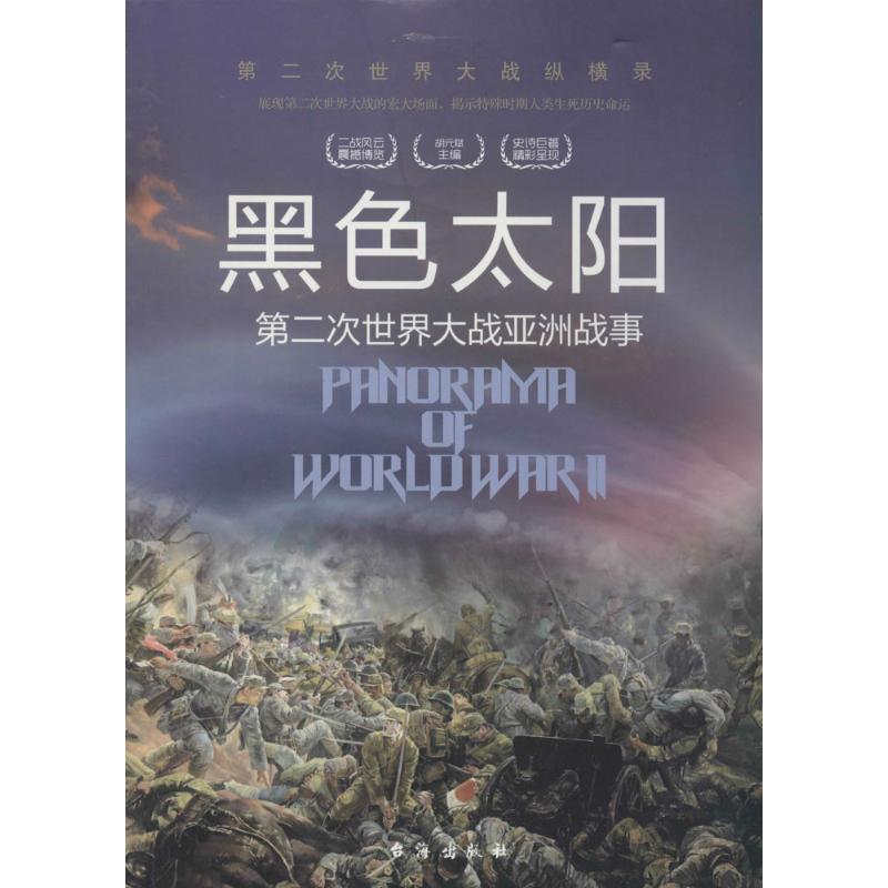 黑色太阳 胡元斌 书籍