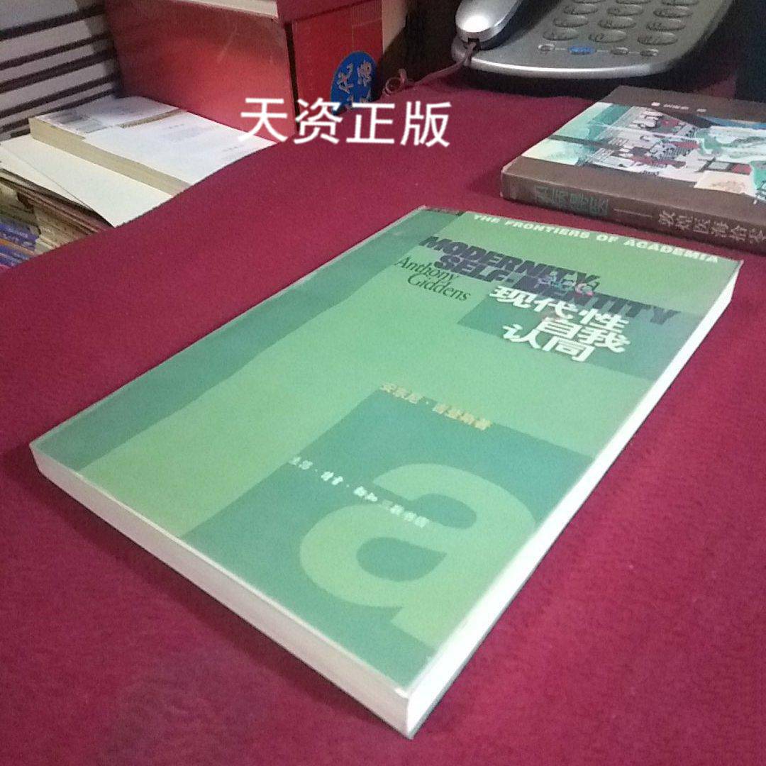 二手9成新 现代性与自我认同 现代晚期的自我与社会