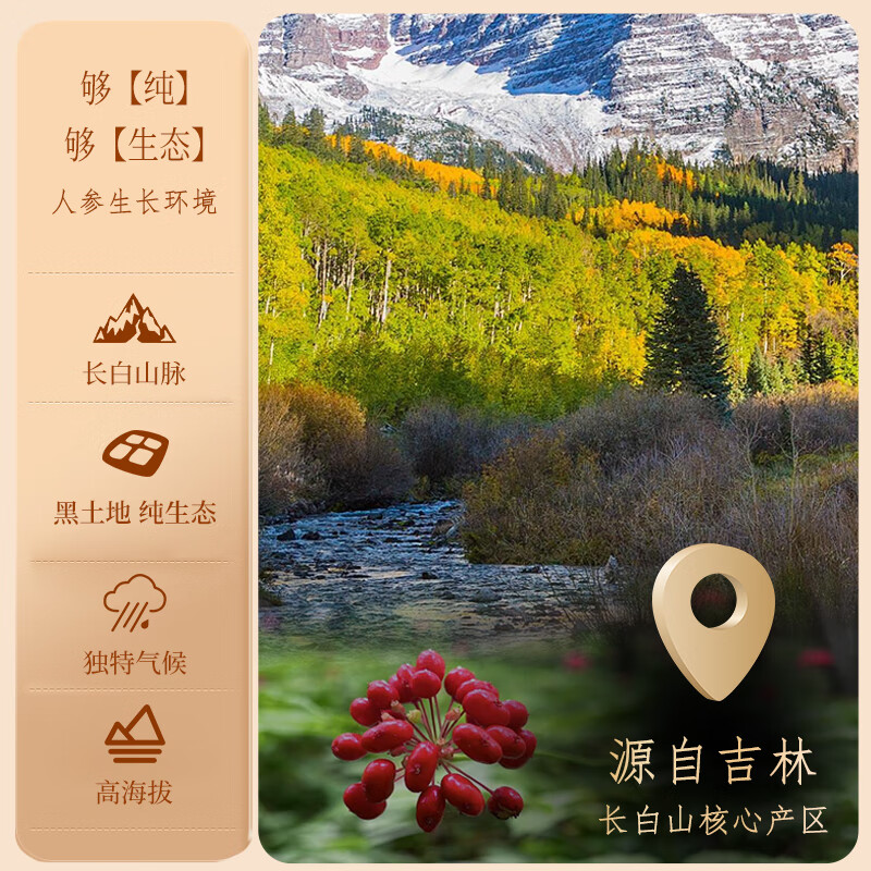 新开河新开河康美人参片75g/瓶 长白山人参5年人参切片泡水泡酒中秋礼盒 人参片75g/瓶