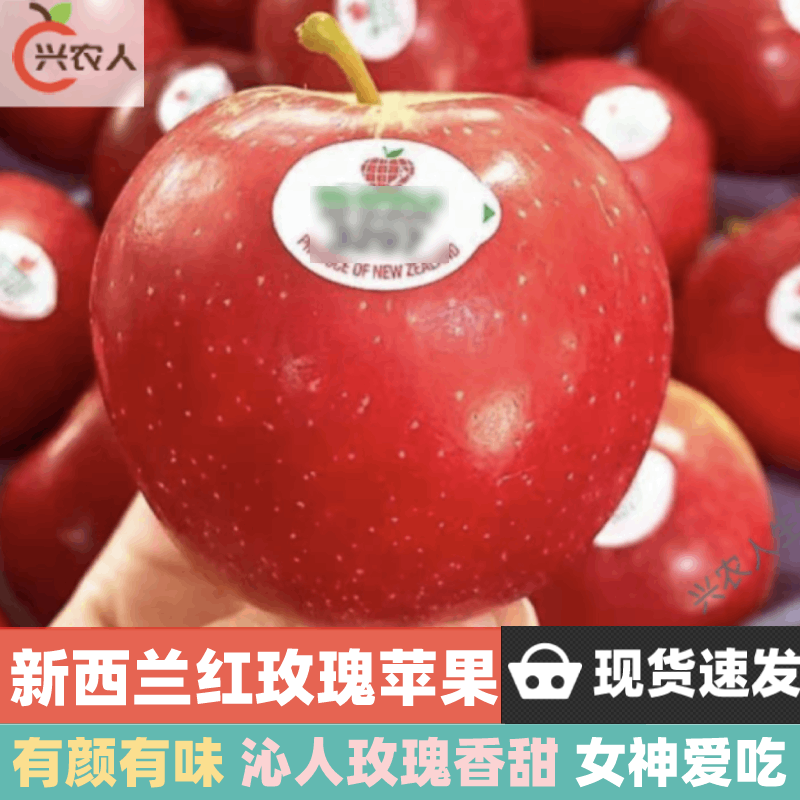 (顺丰现发)美国新西兰进口红玫瑰苹果 孕妇女神 新鲜水果 单果200-230