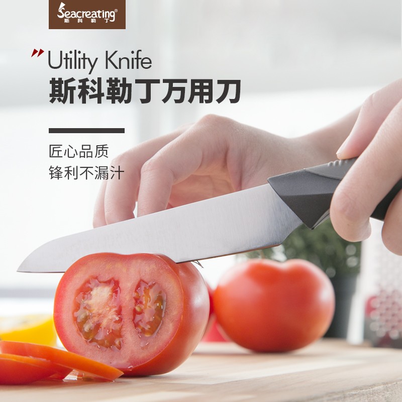 斯科勒丁(seacreating)德国品牌厨房西式5cr15mov不锈钢刀具水果小