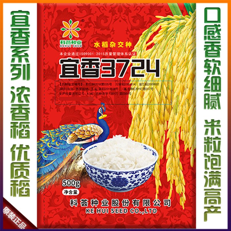 新种宜香3724高产杂交水稻种子云贵川香米水稻种子稻花香稻谷种子 宜