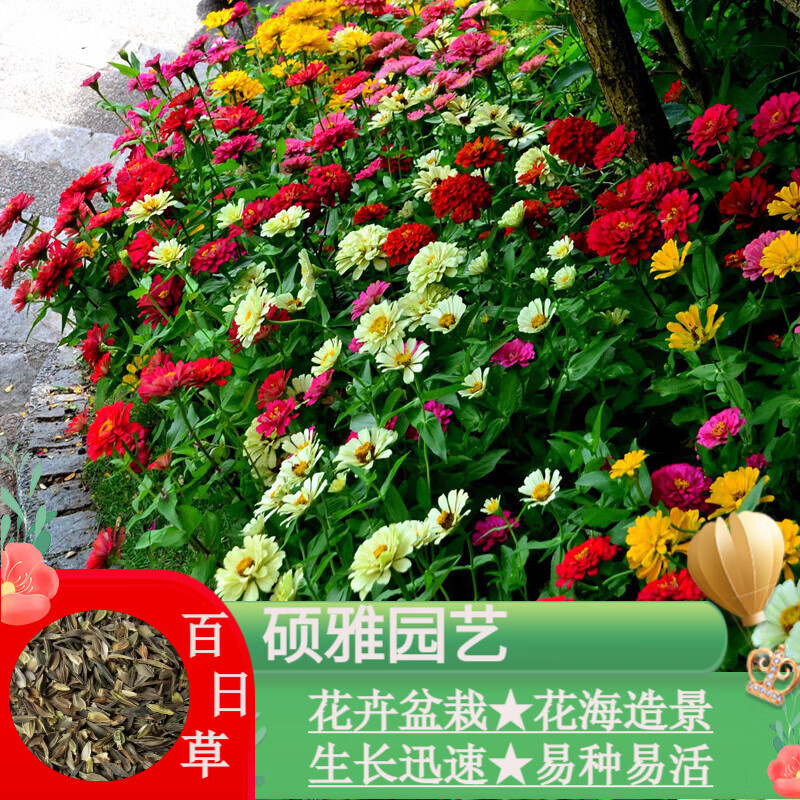 ˶԰հղذ껨ӻ̨Բݻļ׻ͺͺ ɫղһ