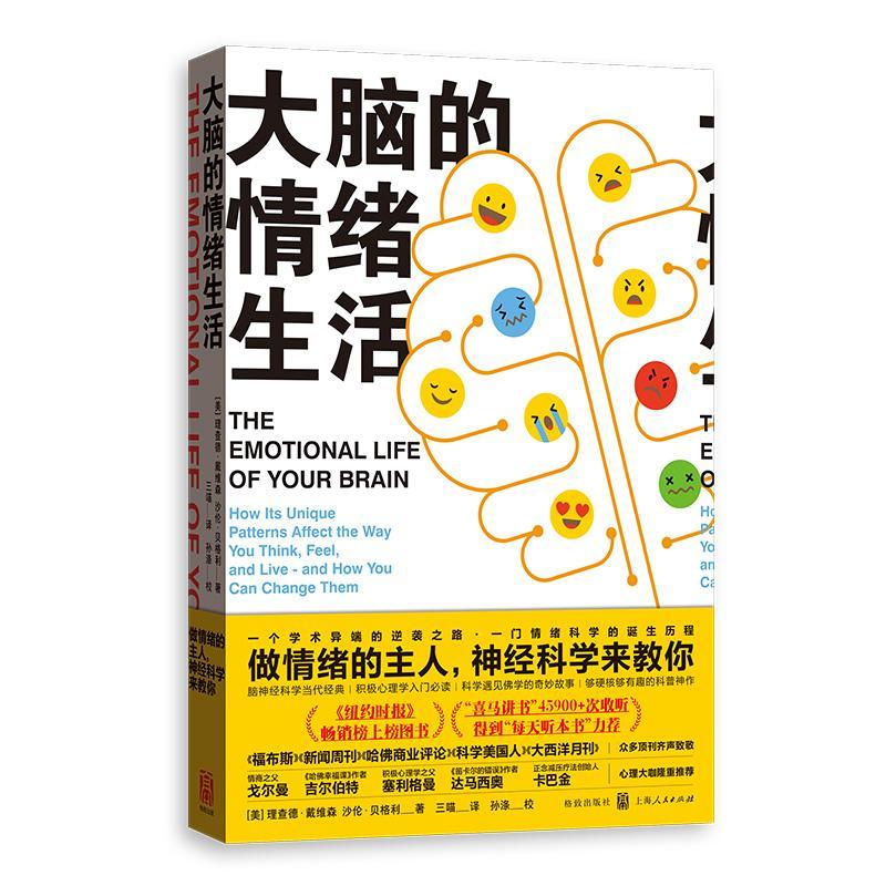 大脑的情绪生活 心理学  图书