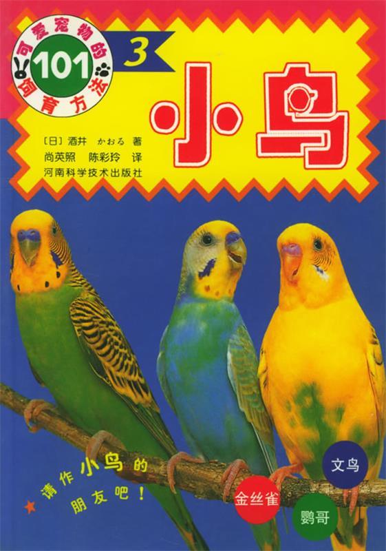 小鸟【好书,下单速发】