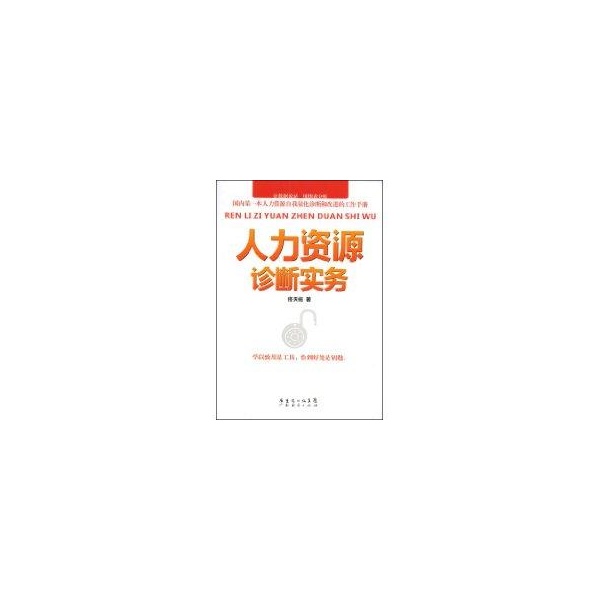 人力资源诊断实务 佟天佑 著【正版】