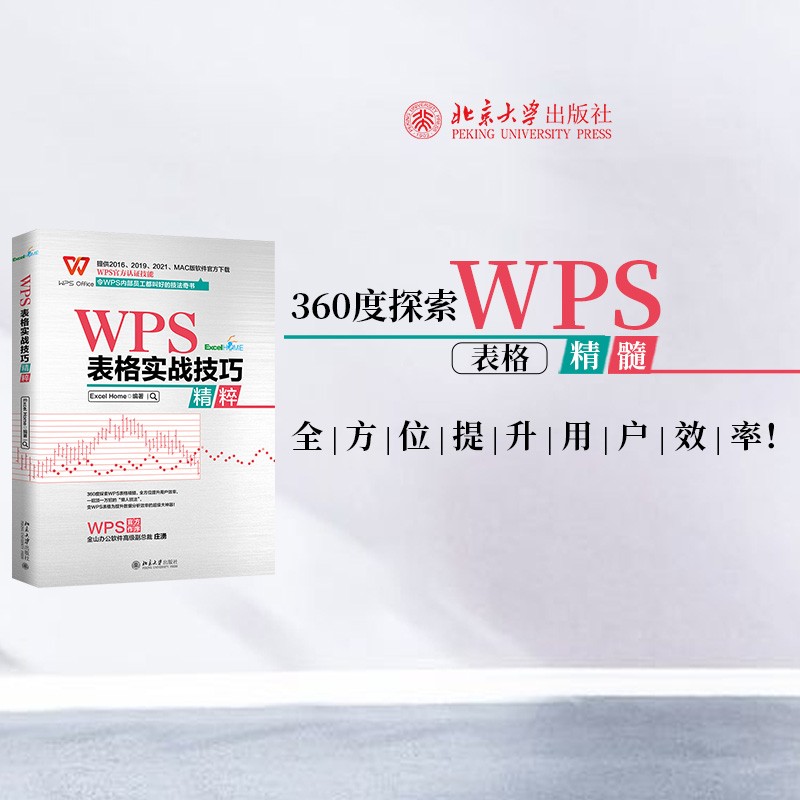 WPS表格实战技巧精粹 WPS官方认证 ExcelHome出品 全彩高效办公书