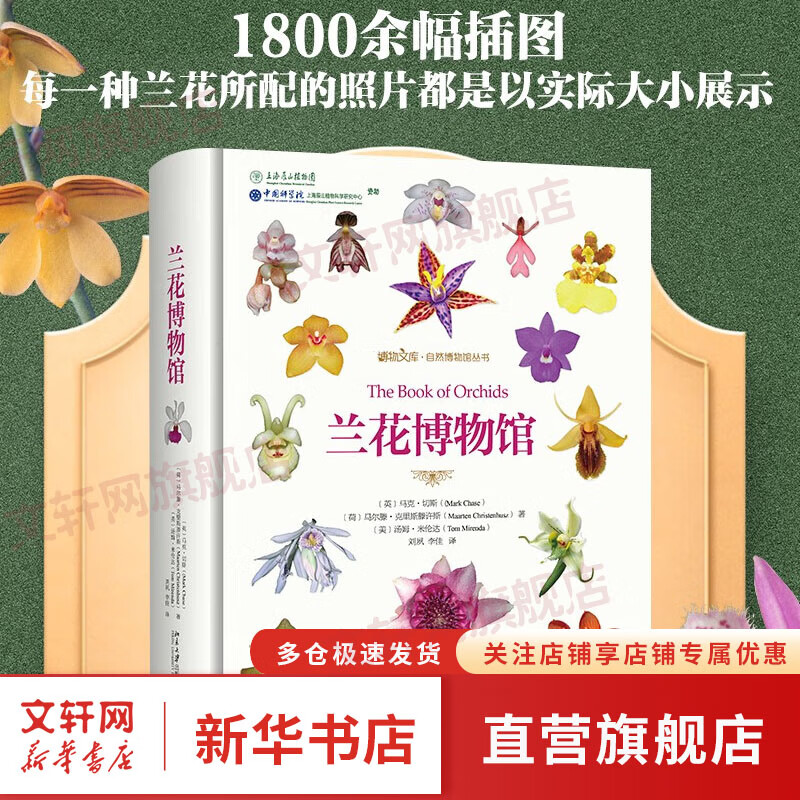 兰花博物馆 博物文库自然博物馆丛书 有趣的传粉故事 兰科的分类 兰花的演化 兰花研究参考书收藏爱好者工具书