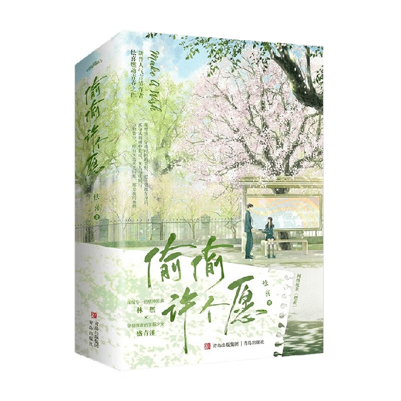 偷偷许个愿 怯喜 著 青春文学