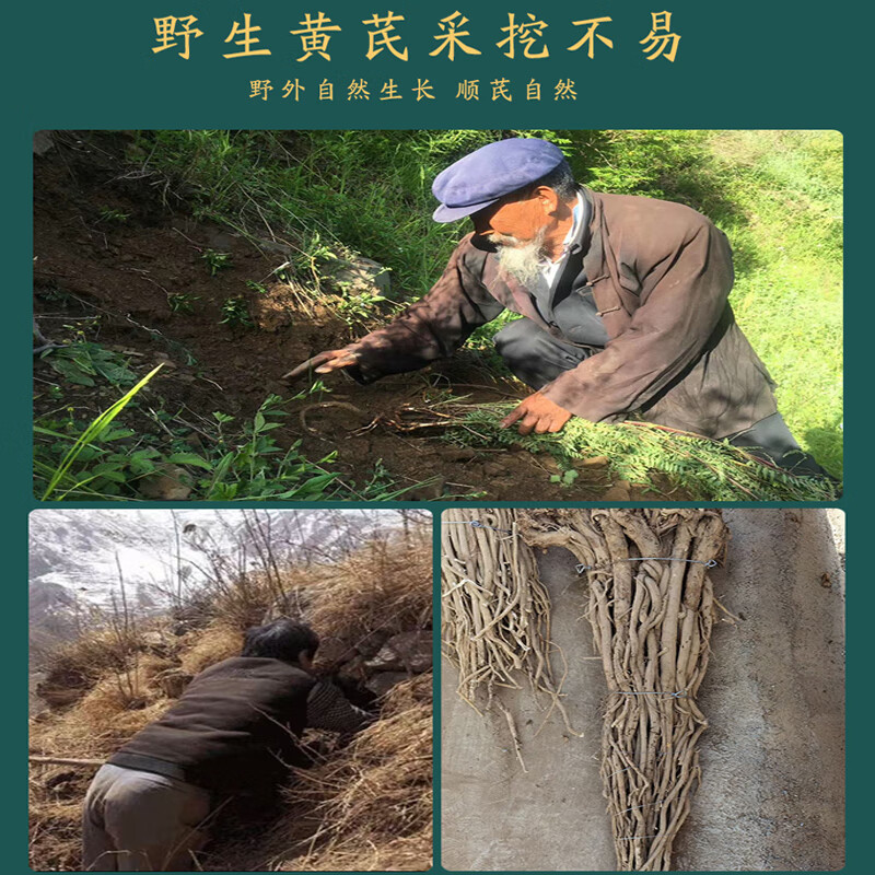 唯昱记 甘肃岷县15年野生黄芪片500g精选北芪炙芪煲汤泡水泡茶原材料 15年野生黄芪250克