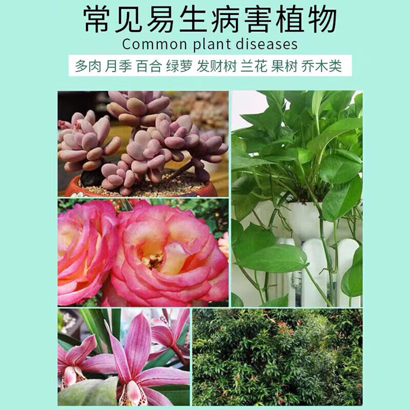 植物多菌灵杀菌剂花卉专用除菌花病康喷剂白粉病炭疽病叶斑病 3瓶装【买2 送1】