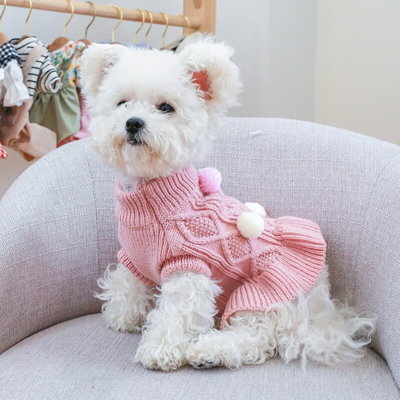 冬季狗狗衣服丸子毛线裙子小狗狗宠物衣服针织保暖加厚泰迪比熊可乐猫