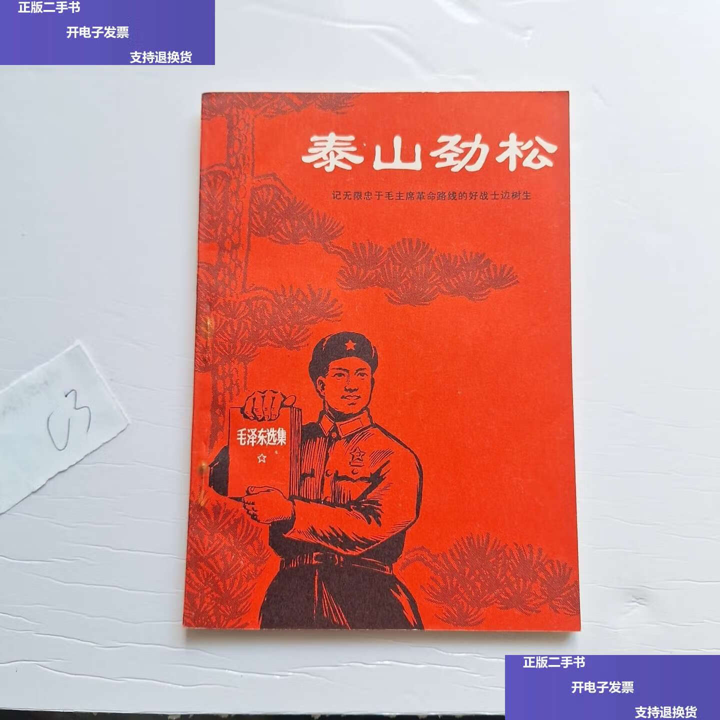 【二手9成新】泰山劲松 /山东人民 山东人民