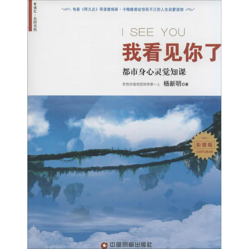 我看见你了(彩图版)