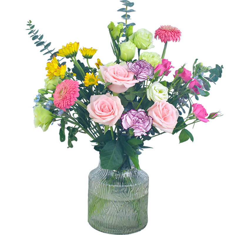 �ö��AB�������ʻ����� һ��һ�����ǳɫϵ�������� ���������ֲ��ַ� ����֦С������1����õ������+��ѡ���仨��