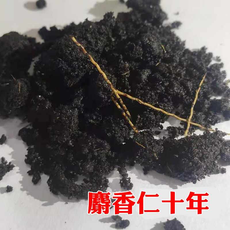 中药材青海麝香人工养殖麝香粉麝香1克g人工麝香粒仁中草 麝香仁十年