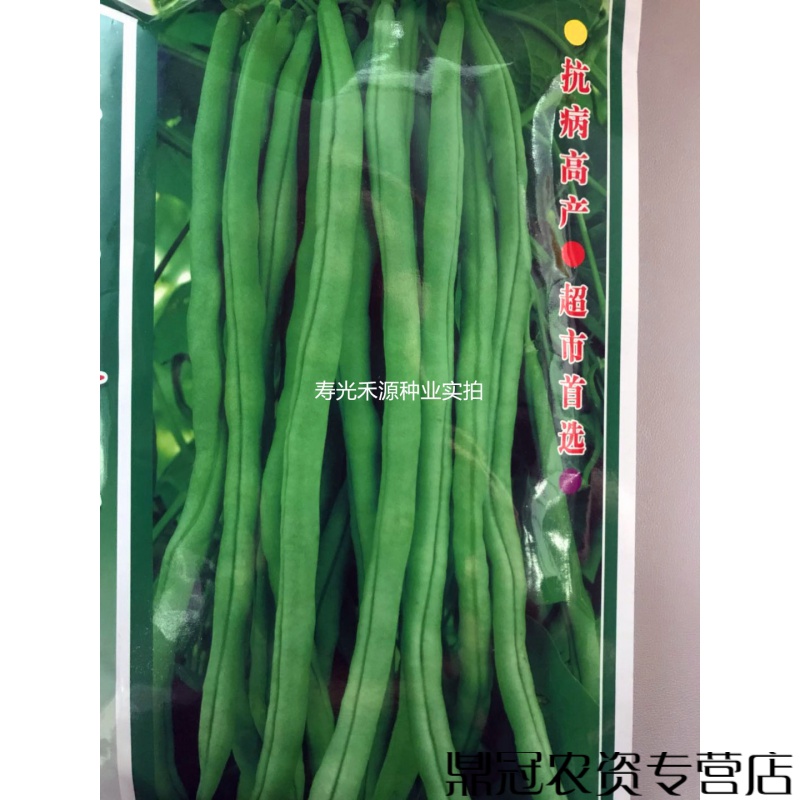 菜友无筋架豆王种子 进口无筋豆种子 长豆角 芸豆 四季青 长青豆 奥冠