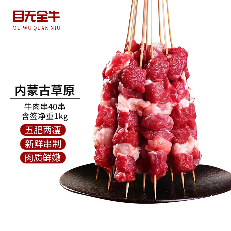 目无全牛内蒙古牛肉串1kg 烧烤肉串露营食材