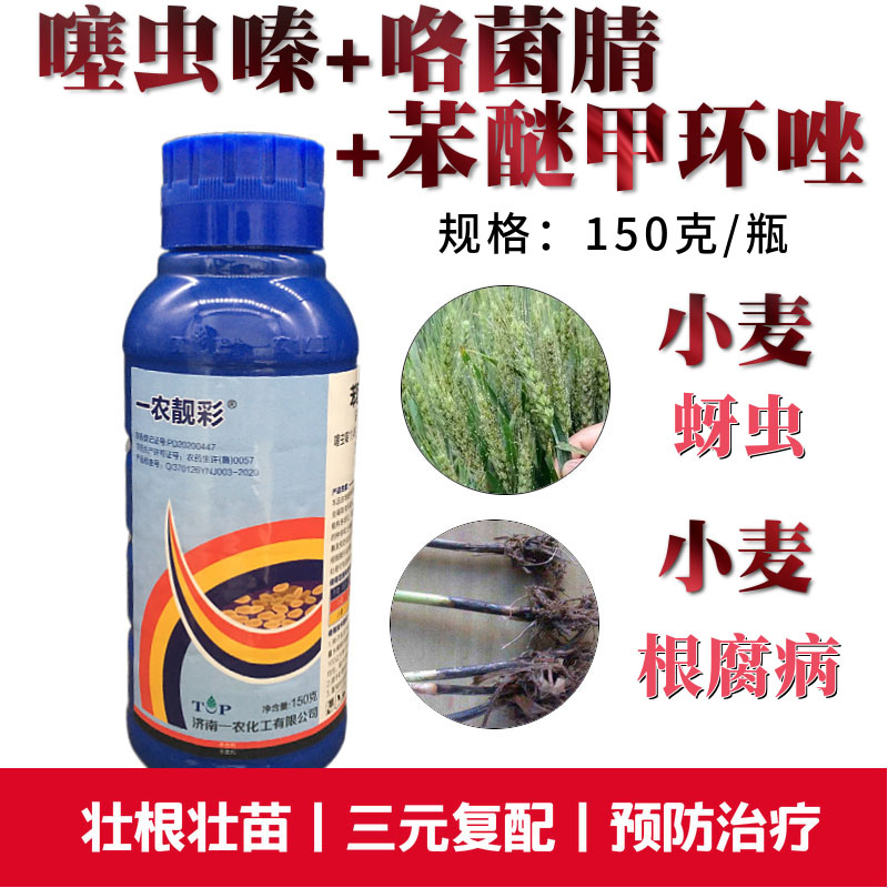 小麦拌种剂小麦专用拌种剂防根腐病蚜虫苯醚·咯·噻虫小麦种衣剂 150