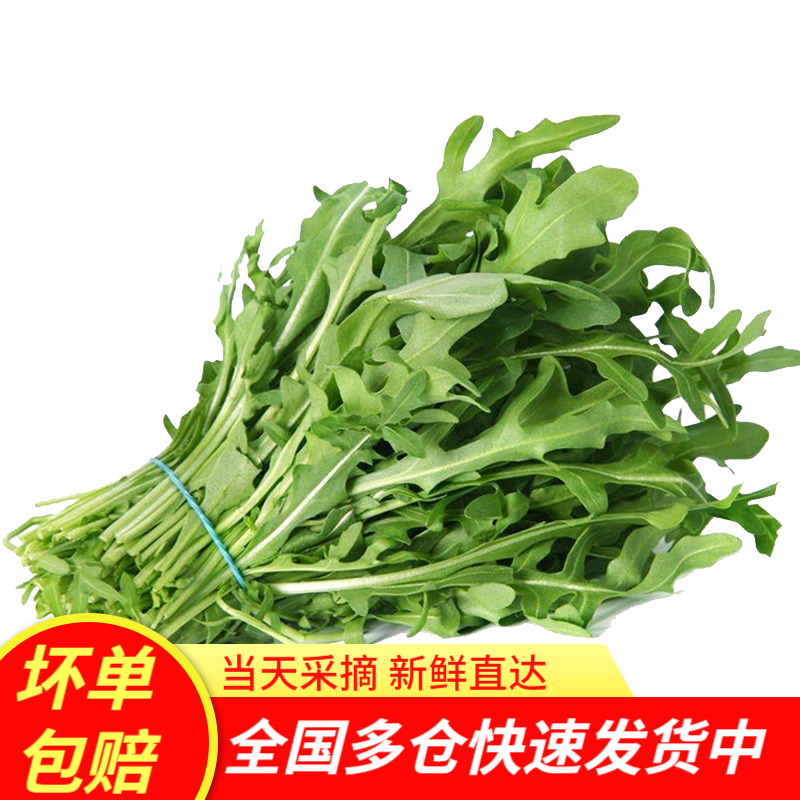 新鲜芝麻菜500g 火箭菜 沙拉菜 芝麻生菜 新鲜蔬菜 蔬菜沙拉食材 500g