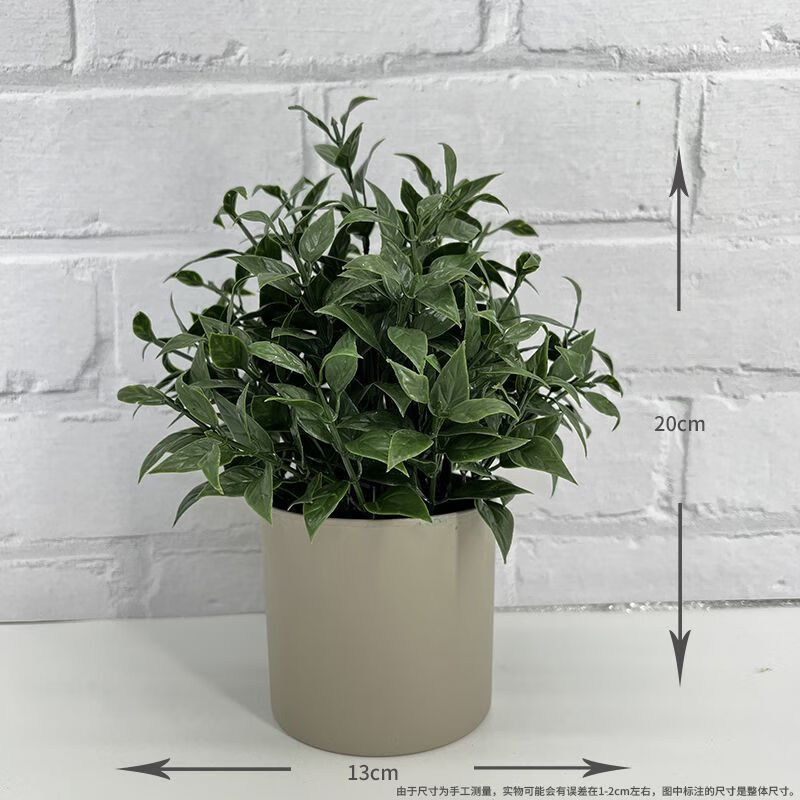 南啵丸2024新款仿真花仿真盆栽假花盆景客厅摆件书桌摆件 灰莉叶 花盆