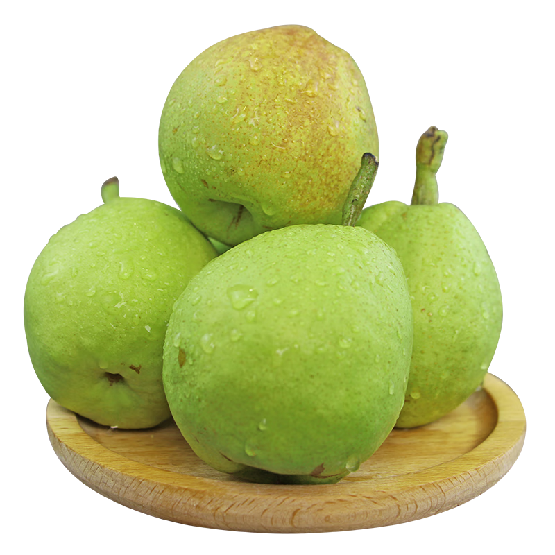 ������ ��������� ����4.5�� ����100g+ ����ˮ�� Դͷֱ�� 24.9Ԫ(����ȯ)