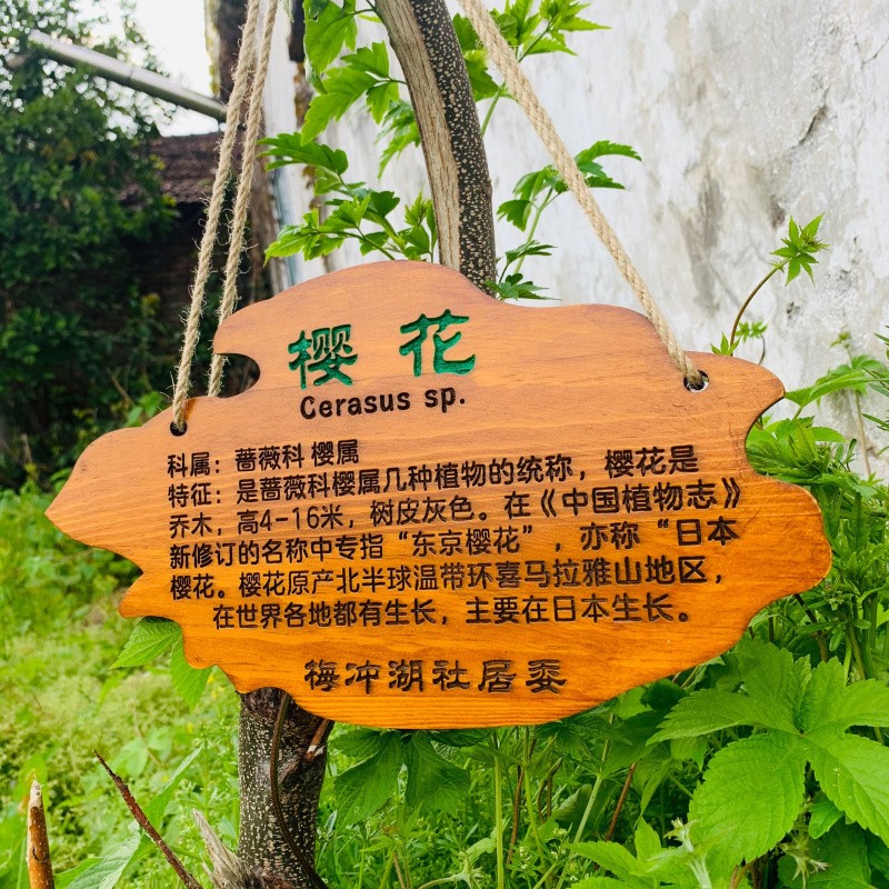 植物挂牌设计图片文艺图片