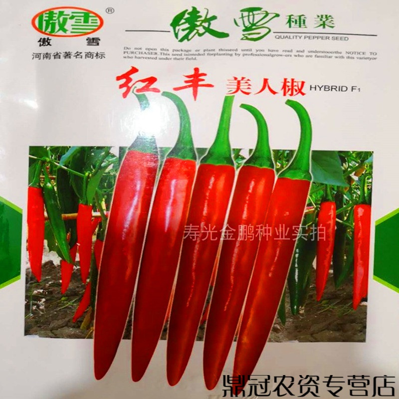 红丰一号辣椒种子图片