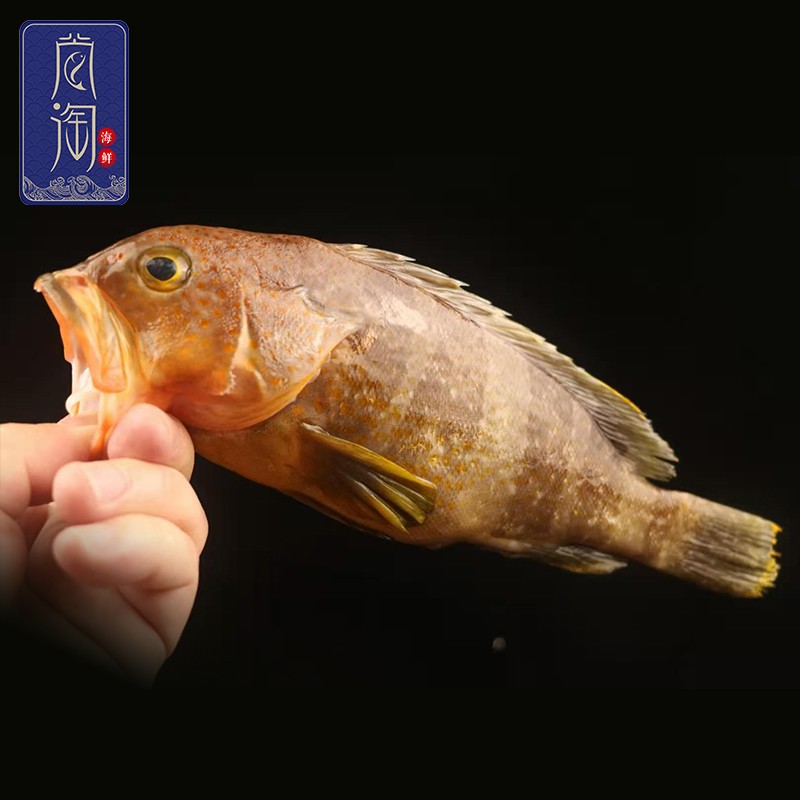 尚淘 东山岛土过石斑鱼500g新鲜六带石斑鱼深海鱼 500g(2-3条)