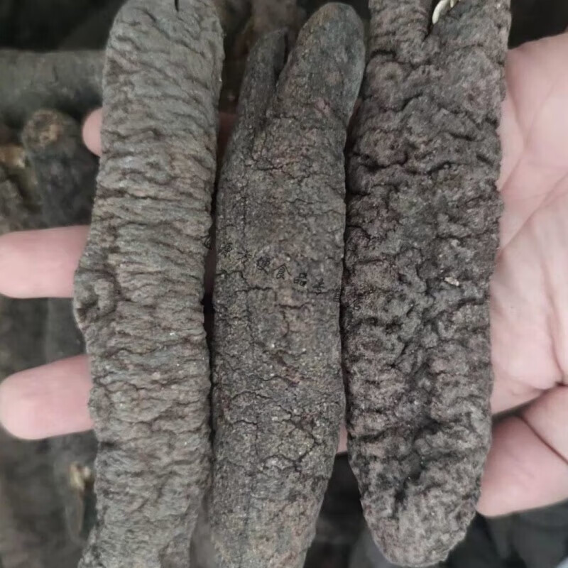 iosn特极野大乌参深海海茄子参淡干黑乌条乌虫海参干货酒店水发 参250