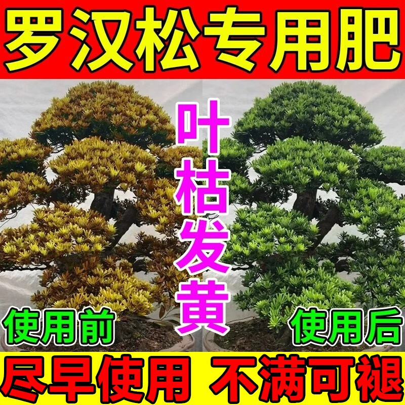 罗汉松专用肥喜酸植物叶面喷施营养液防黄落枯叶烂黑根腐 5瓶 京东折扣/优惠券