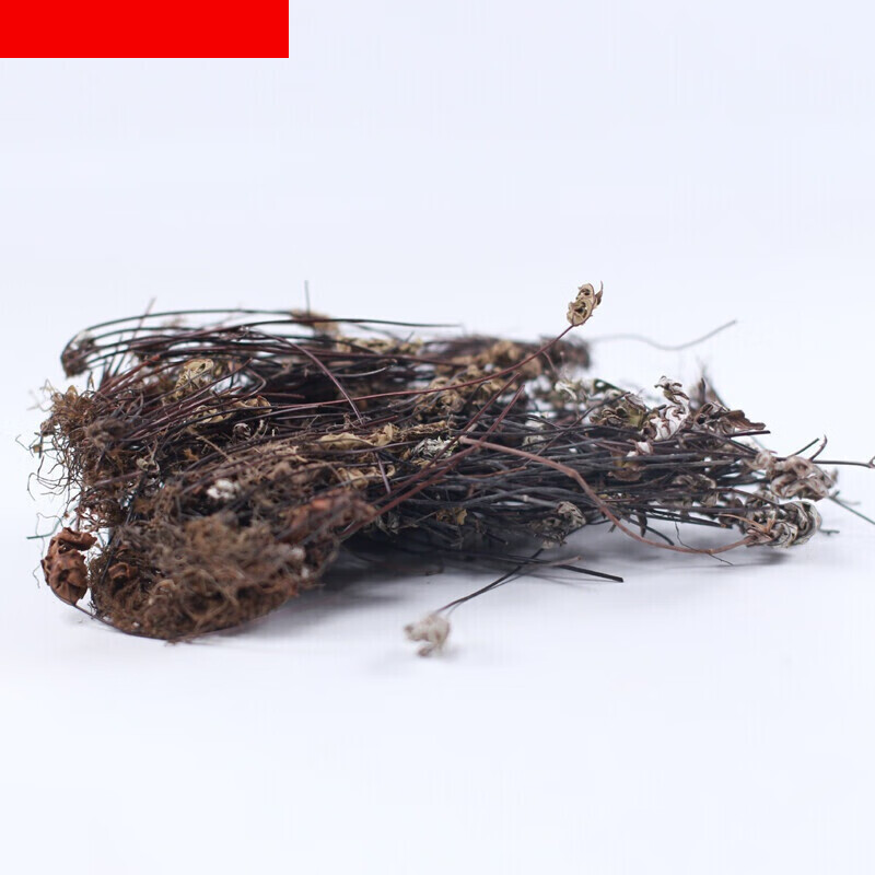 通经草 500克散装金丝草 止惊草 铁骨草 分经草石崖 铜丝草