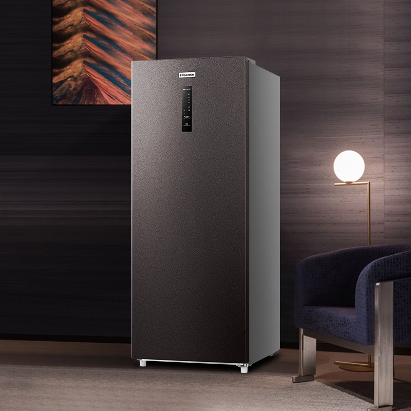 海信（Hisense）159升家用立式冰柜 无霜母婴母乳冷柜 一级能效电脑控温侧开门冷冻柜BD-159WVUT