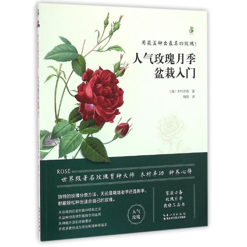 人气玫瑰月季盆栽入门