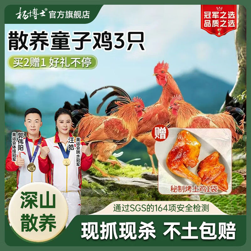 杨博士皖南散养仔公鸡1只 净重1.3斤及以上 未打鸣童子鸡三黄鸡源头直发 【赠烤土鸡】童子鸡*3只