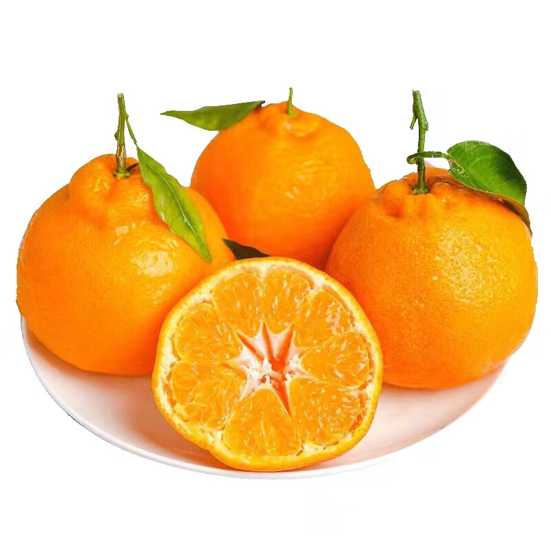 松林美果现摘现发当季正宗四川春见耙耙柑带箱5-6斤大果新鲜水果整箱