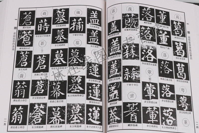正版 颜体辨异字典 颜真卿字典的三十余种楷体碑帖 中华书法字典 中国