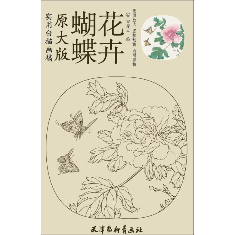 蝴蝶花卉 田秀云 绘 作 书籍