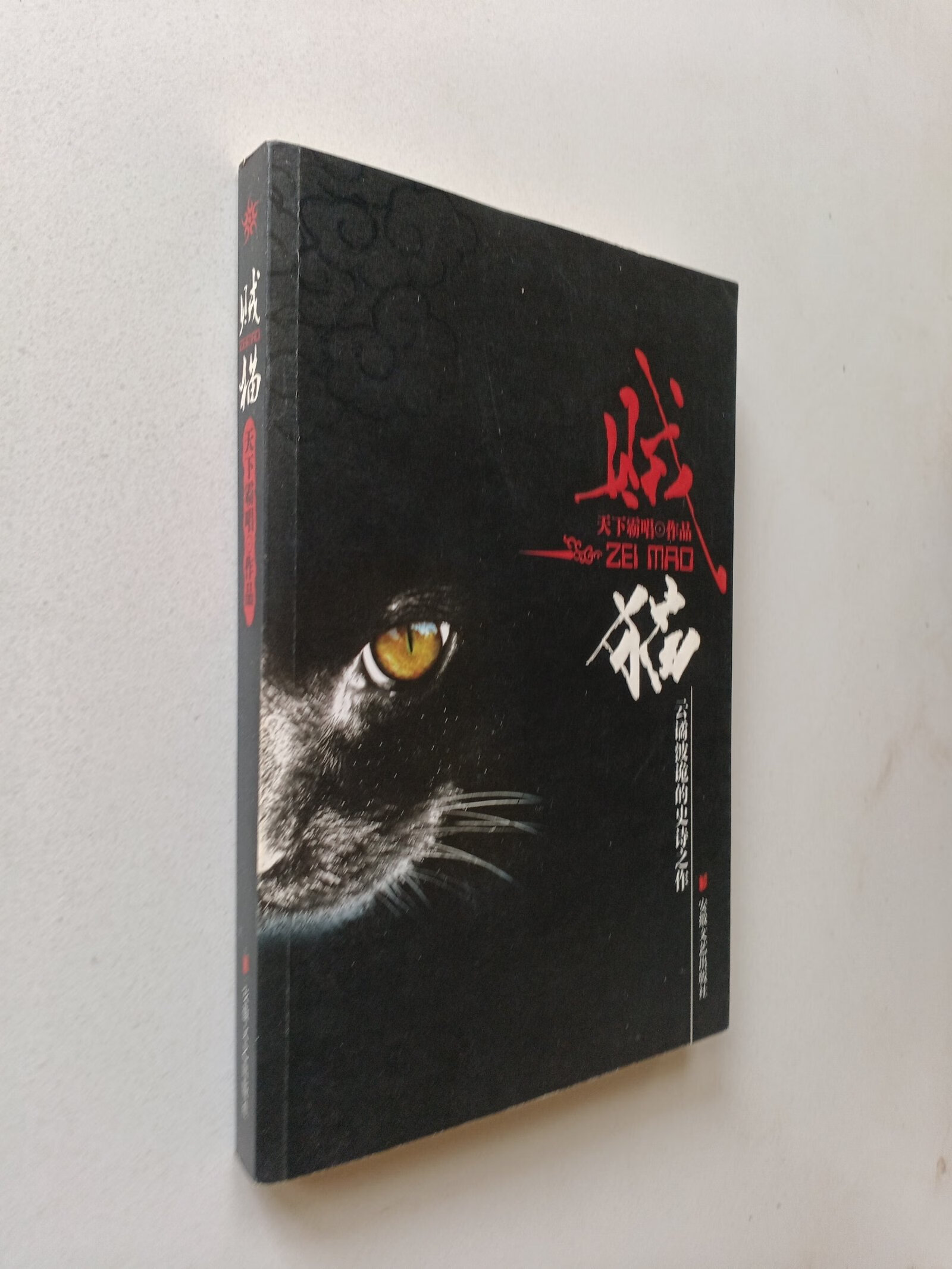 (旧书九成新)贼猫