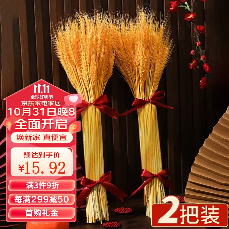 全品屋 乔迁之喜装饰稻穗麦穗摆件新居搬家布置新房入宅仪式穗穗平安 黄金麦穗2把 (送绸带+小喜字)高性价比高么？