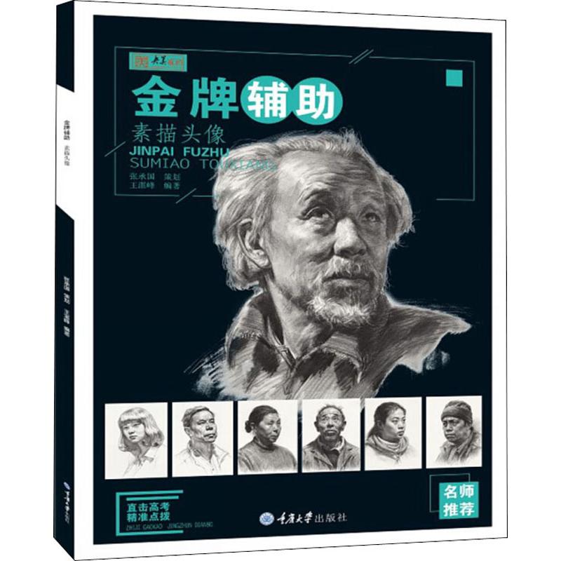 金牌辅助 素描头像 王湛峰 书籍