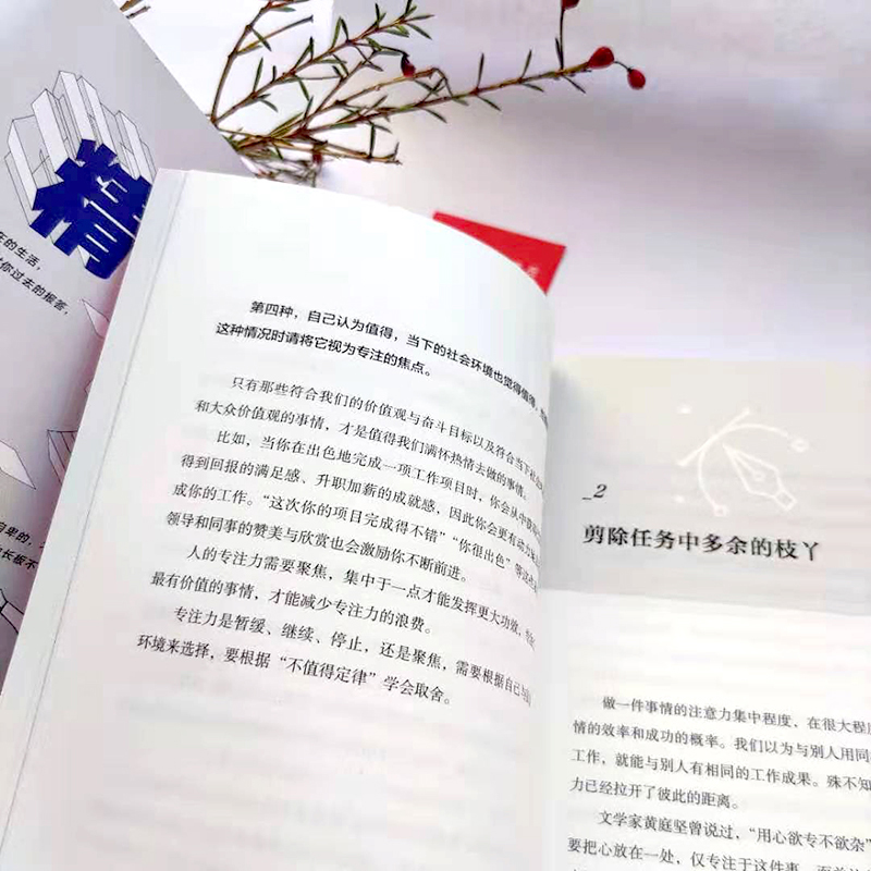 精力管理（在信息焦虑而专注力稀缺的年代，管理好精力就占据了先机）详情图