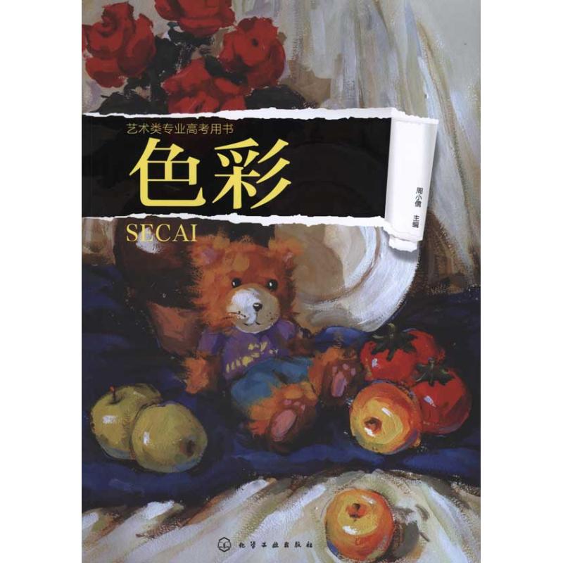 色彩 周小儒 主编 书籍